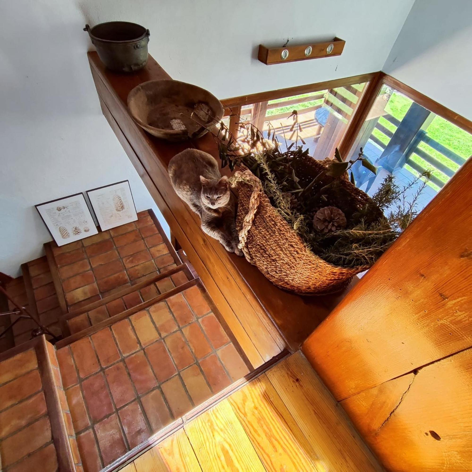 Refugio Del Aguila "Casa Diaman" Guest House Гехар-Сиера Екстериор снимка
