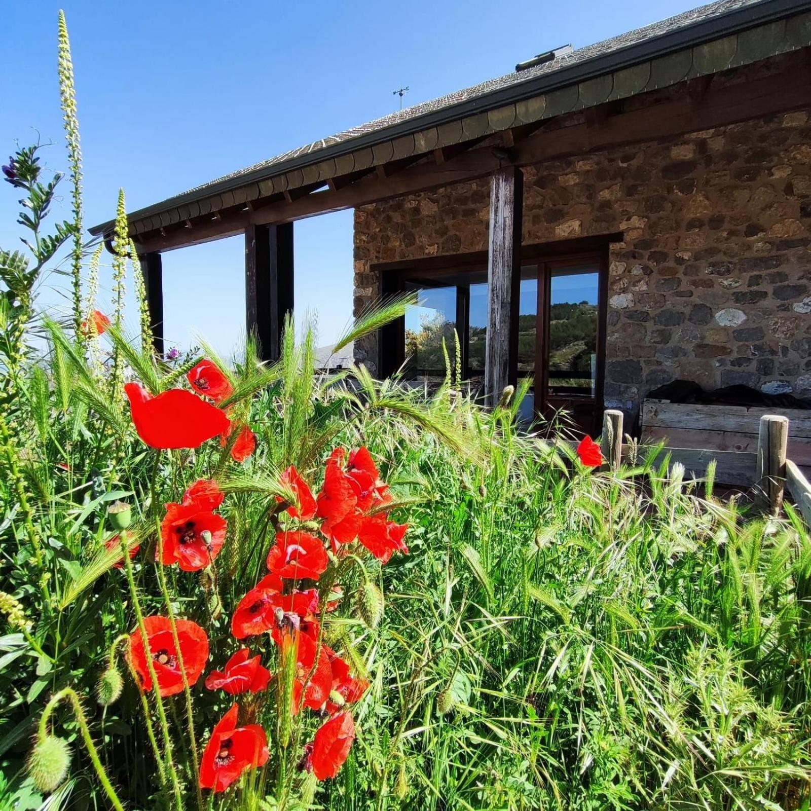 Refugio Del Aguila "Casa Diaman" Guest House Гехар-Сиера Екстериор снимка